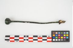 Foto von Bronzerippenkugelkopfnadel (NHMW-PRAE-026126)